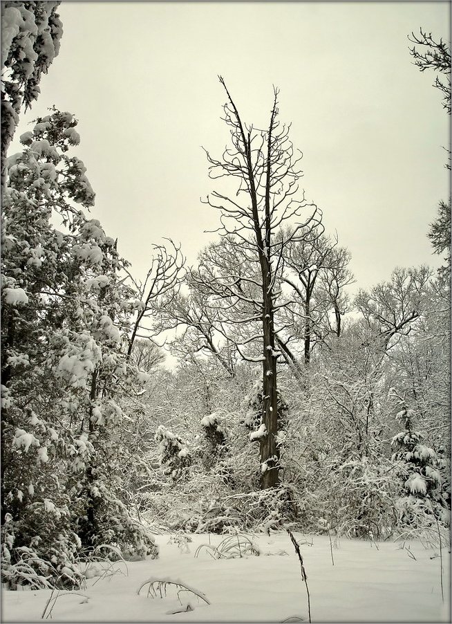 каляндарны настрой. прадвесьце Сьвяткаў