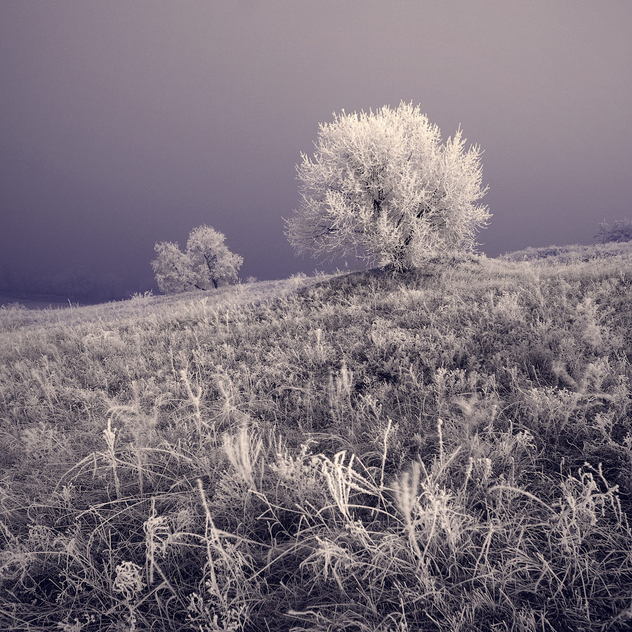 Сказочная зимняя ночь