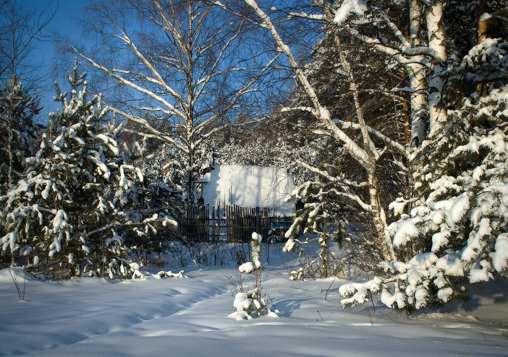 Зимняя сказка