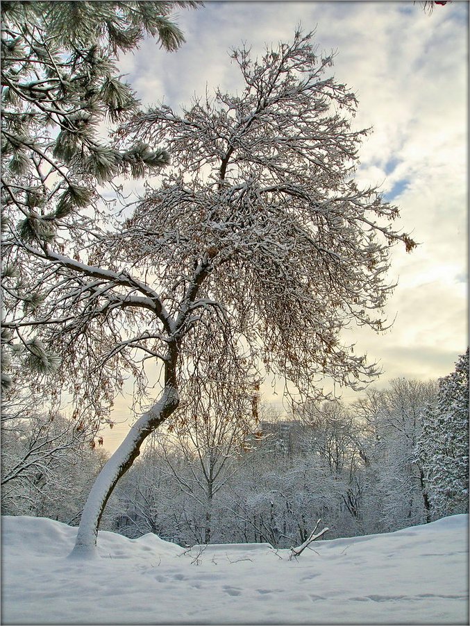З Новым годам, сябры!