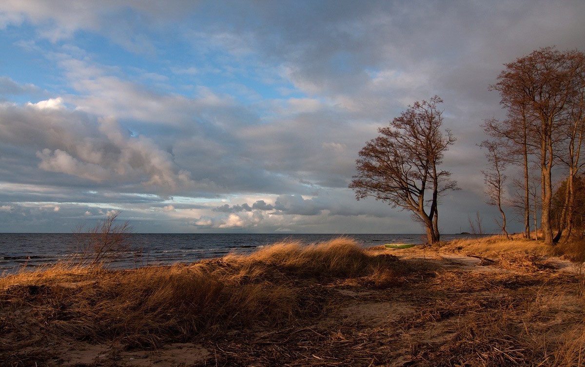 Странная зима