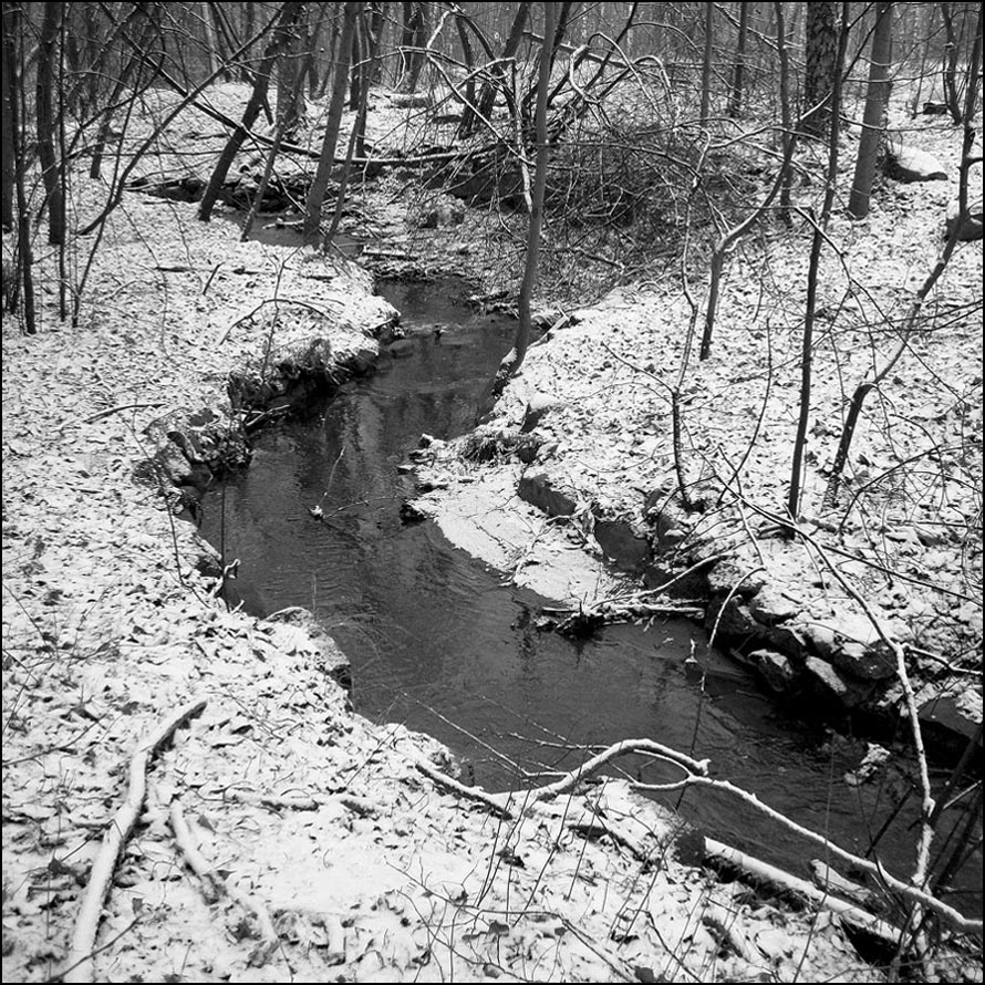 ЕЩЁ РОБКАЯ ЗИМА...