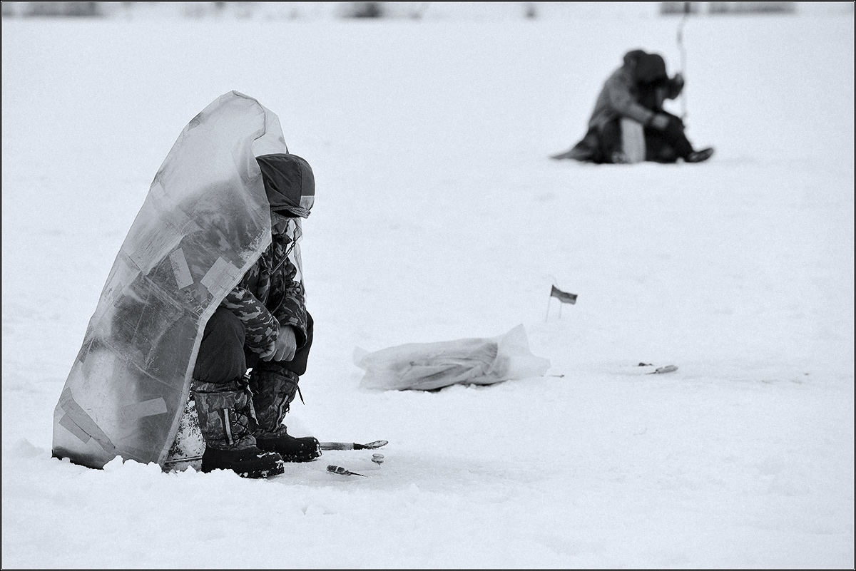 Подмороженные