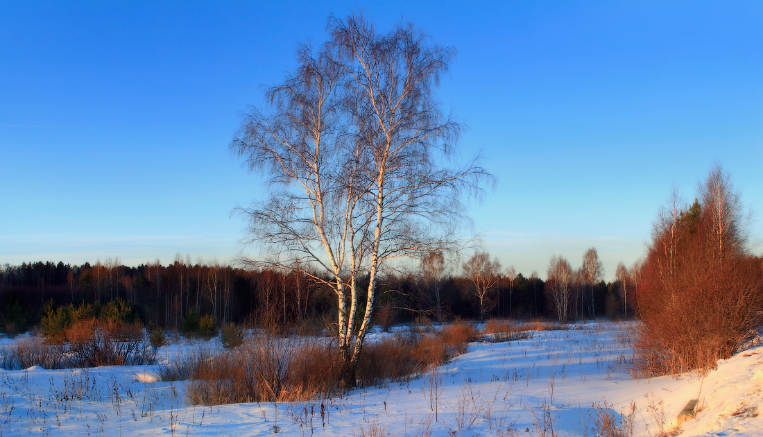 Мартовское утро