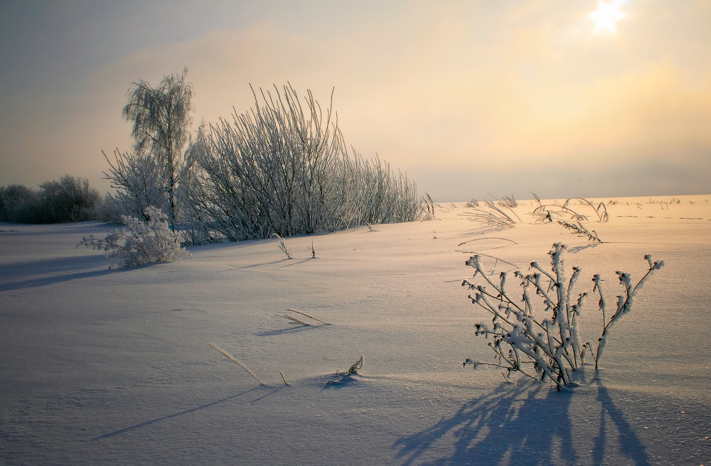 Зимний этюд