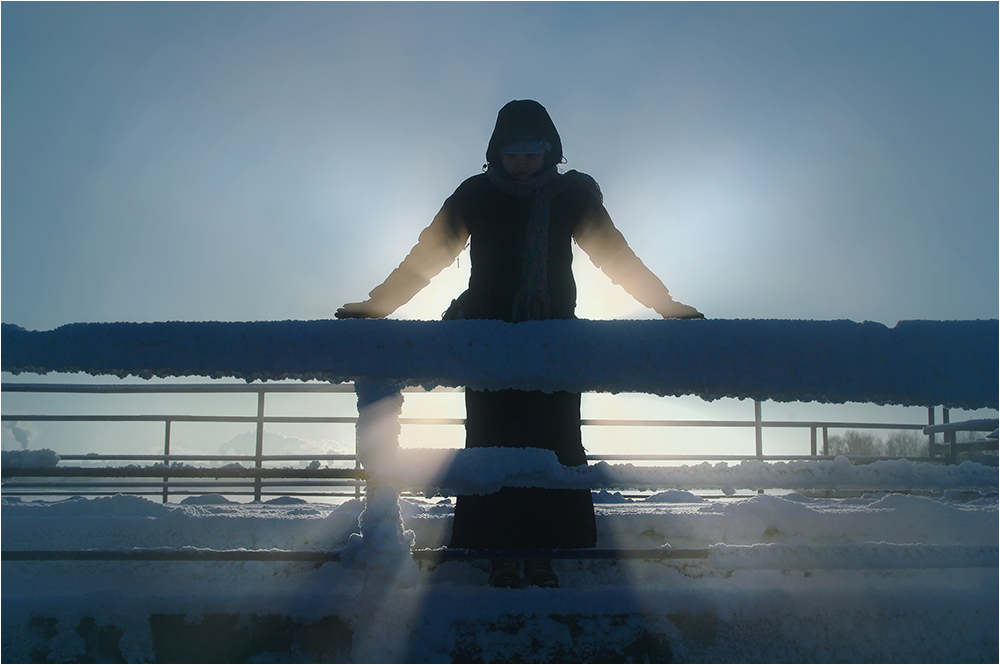 крылья зимы