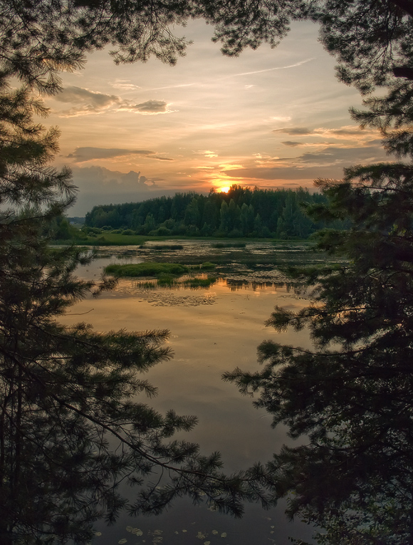 Окна наших грез