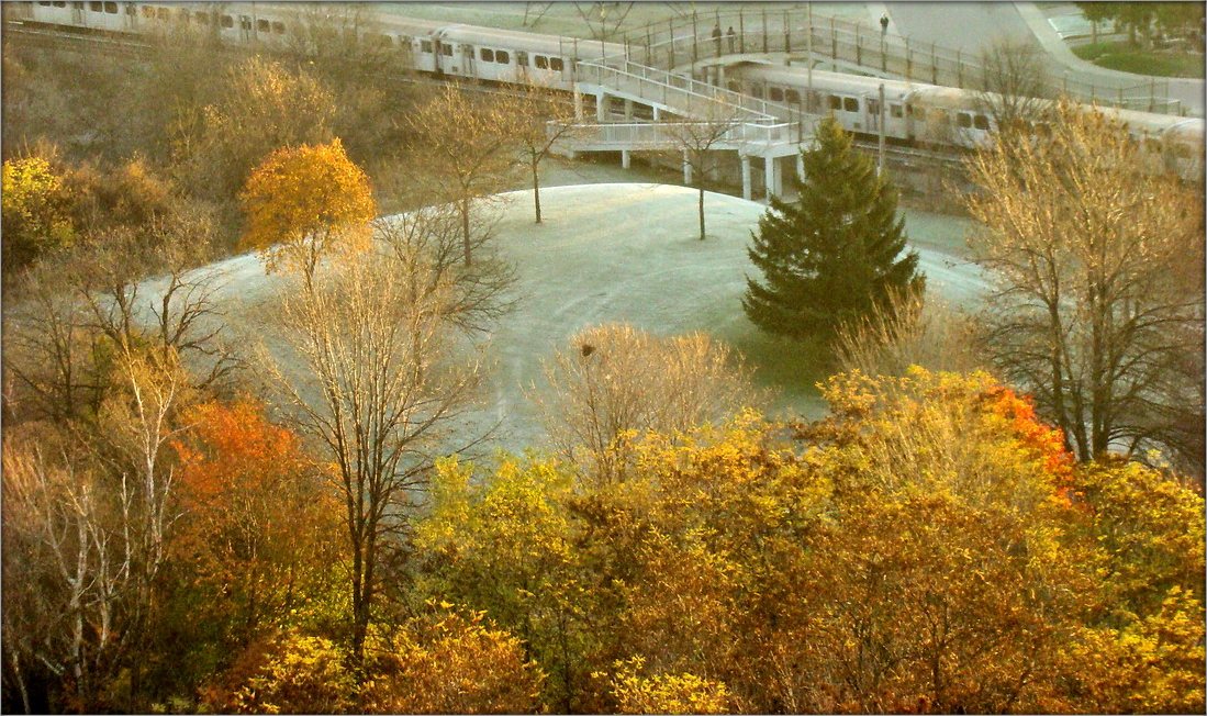 утренние заморозки