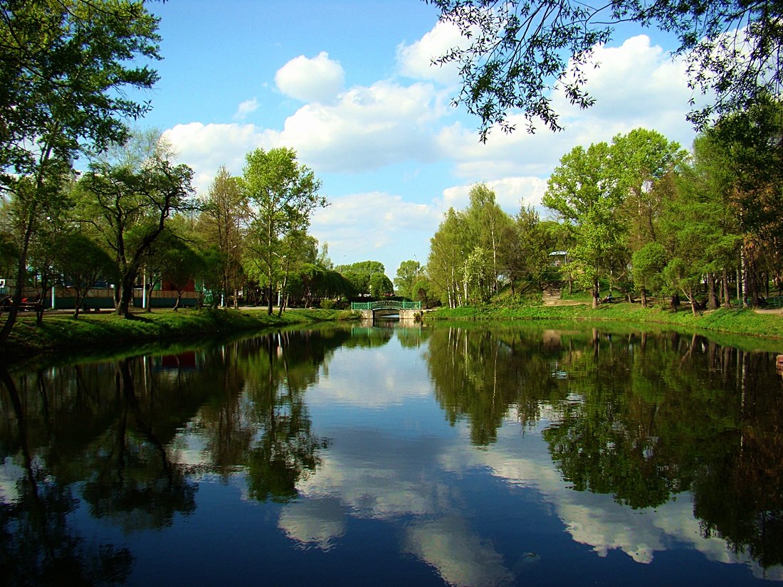 Майский сад