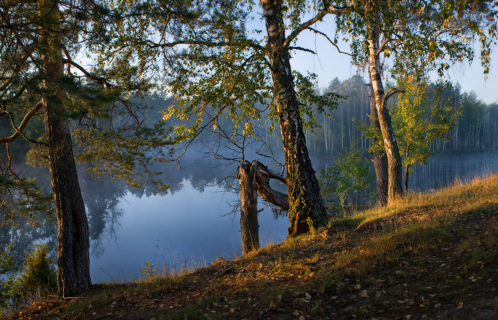 Саврасово просыпается