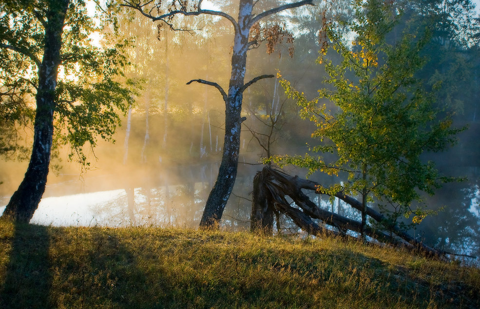 Саврасово просыпается 2