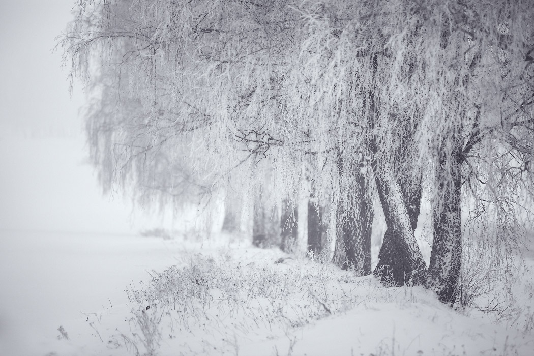 Зима под Минском