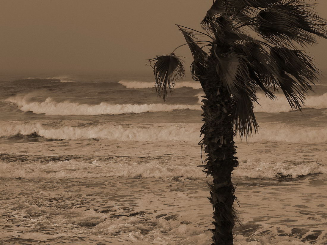 ЛЁГКИЙ БРИЗ