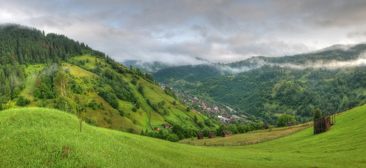 После дождя...