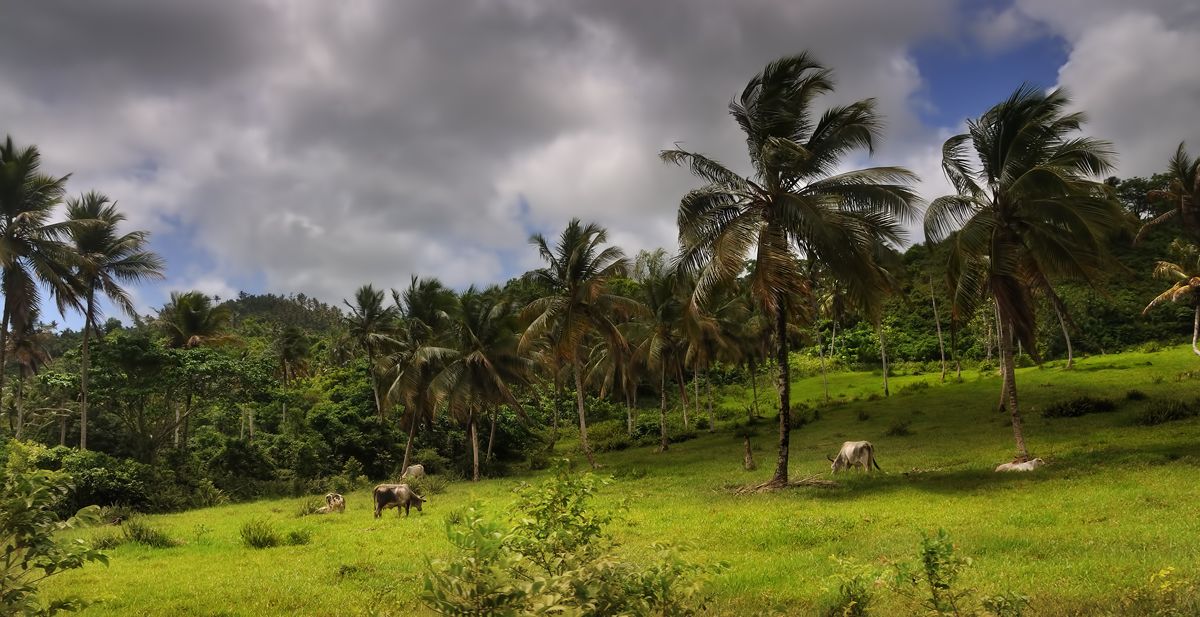 Land of the Red Soil