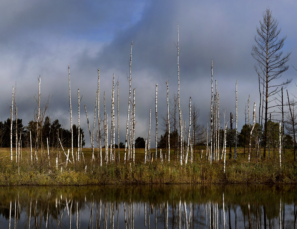 Немного о грустном