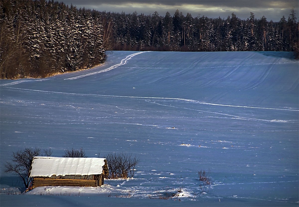 родные просторы