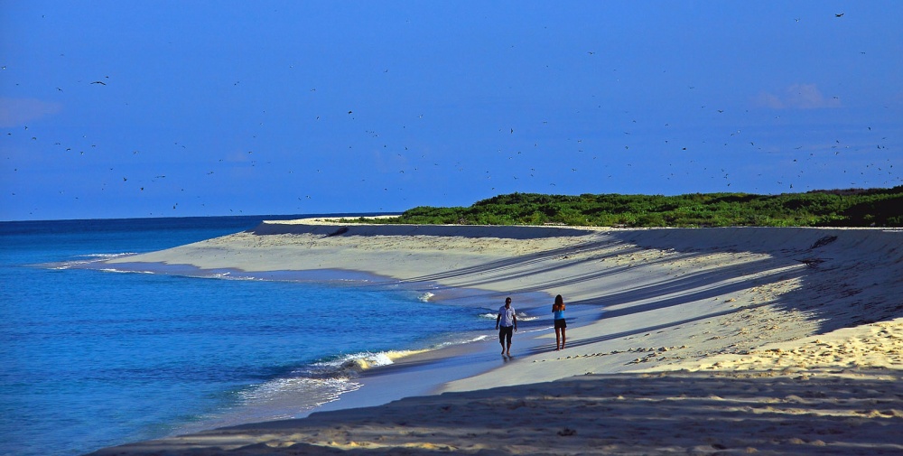 Двое и океан