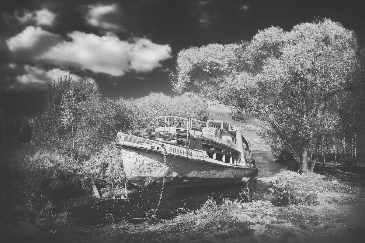 |   БОДРЫЙ   |