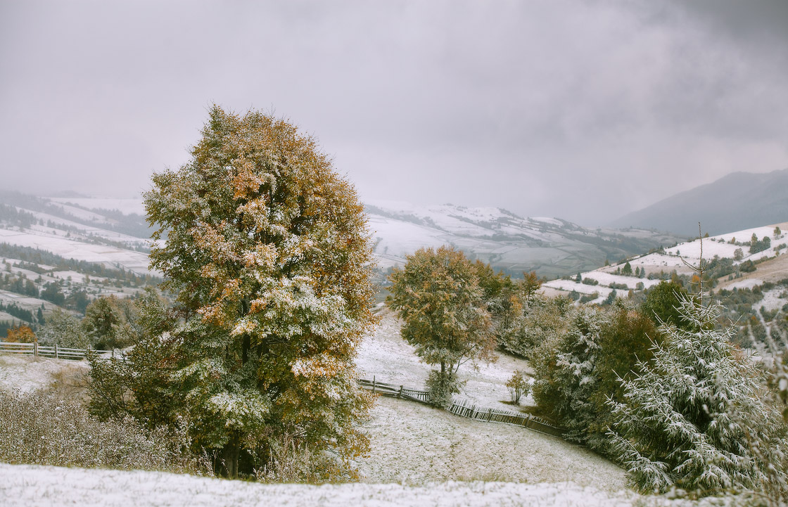 Осень и Зима