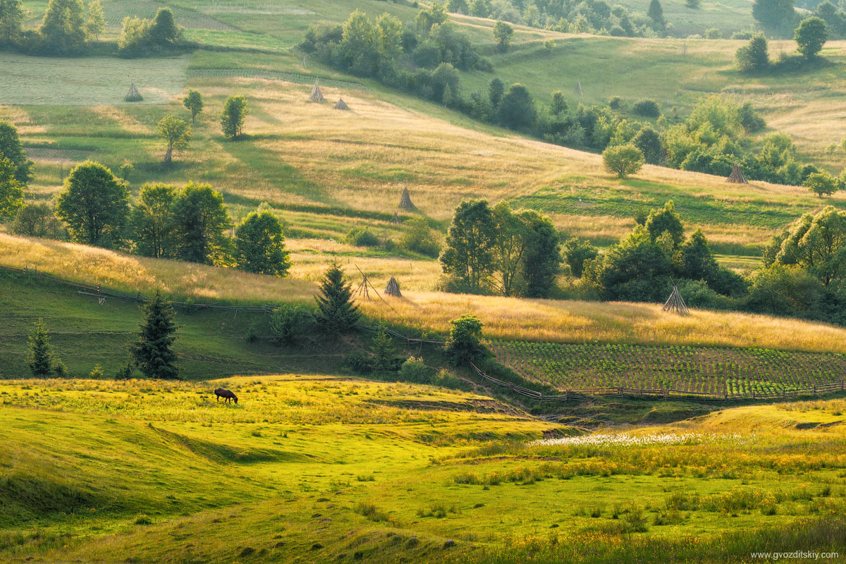 Карпатский этюд с трехногим коником