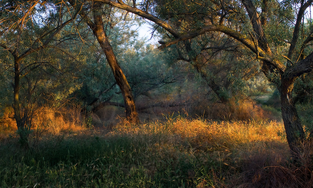В лучах южного утра