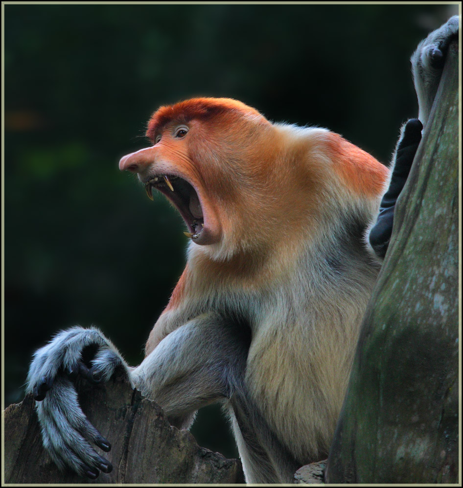 Споемте, друзья