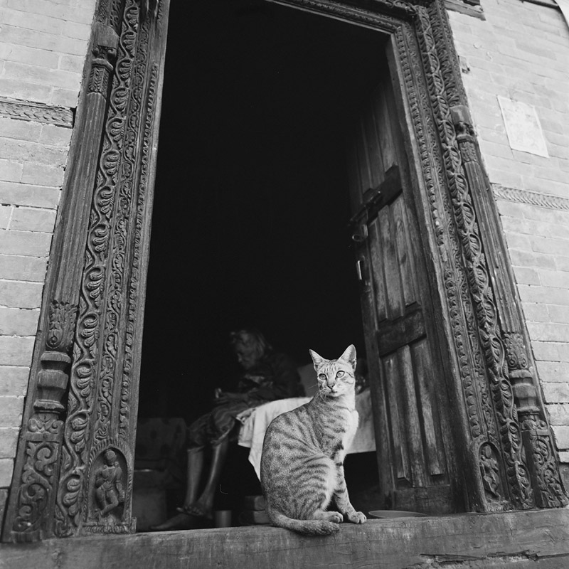 две женщины