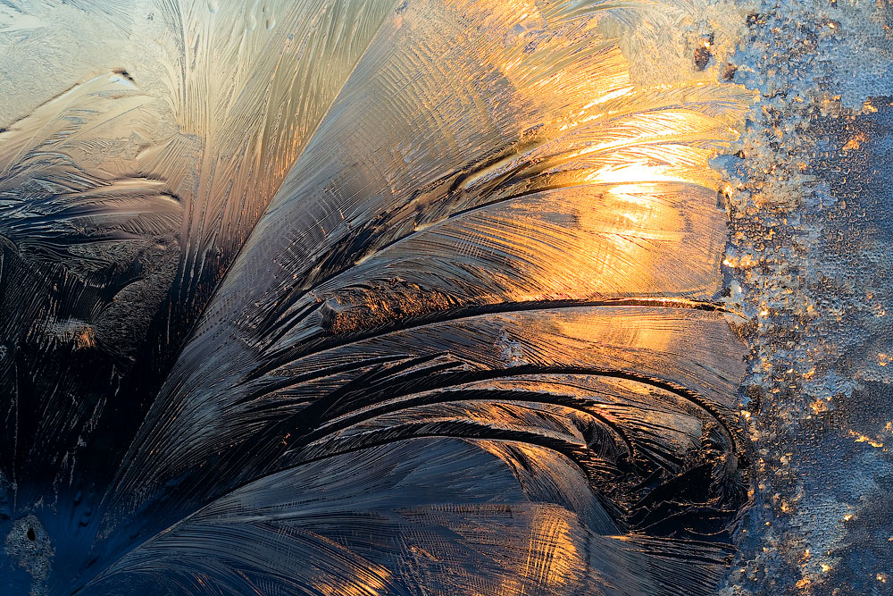 Морозные фантазии