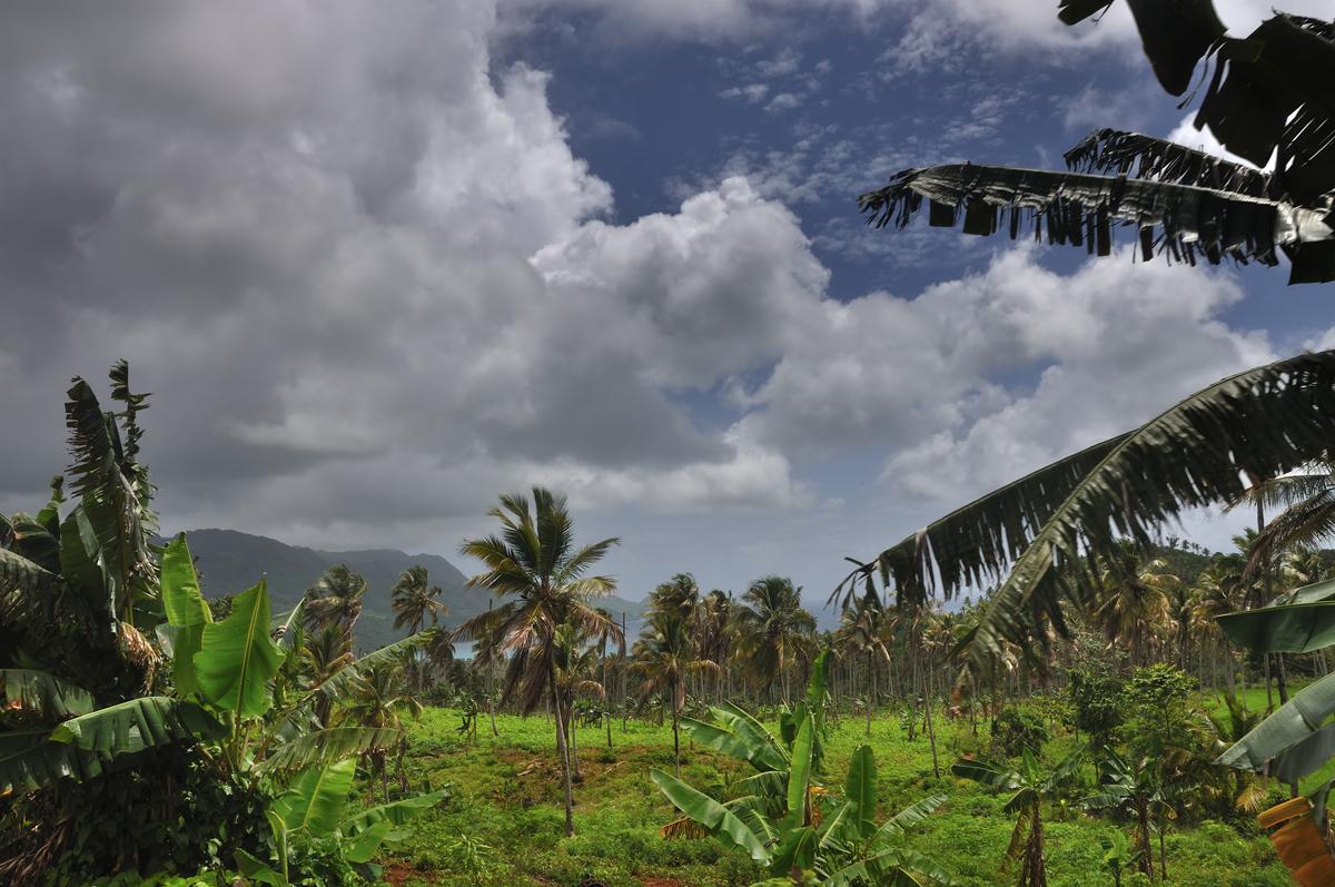 Land of the Red Soil
