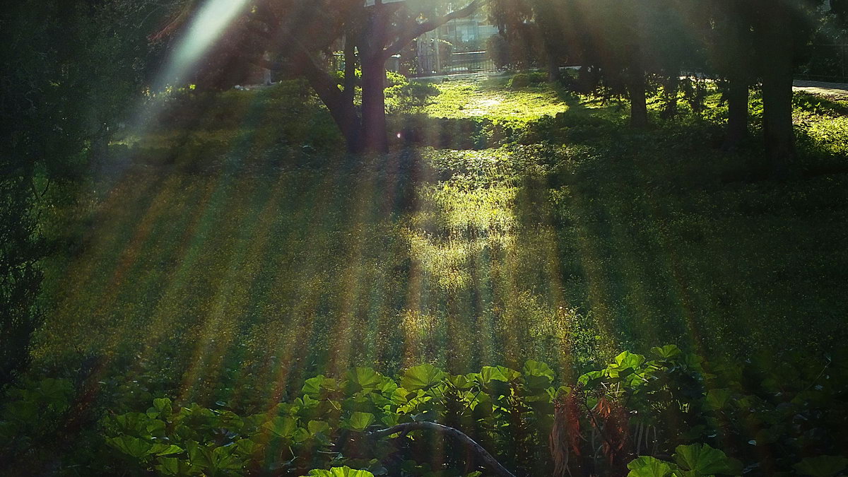 ФЕВРАЛЬСКОЕ УТРО