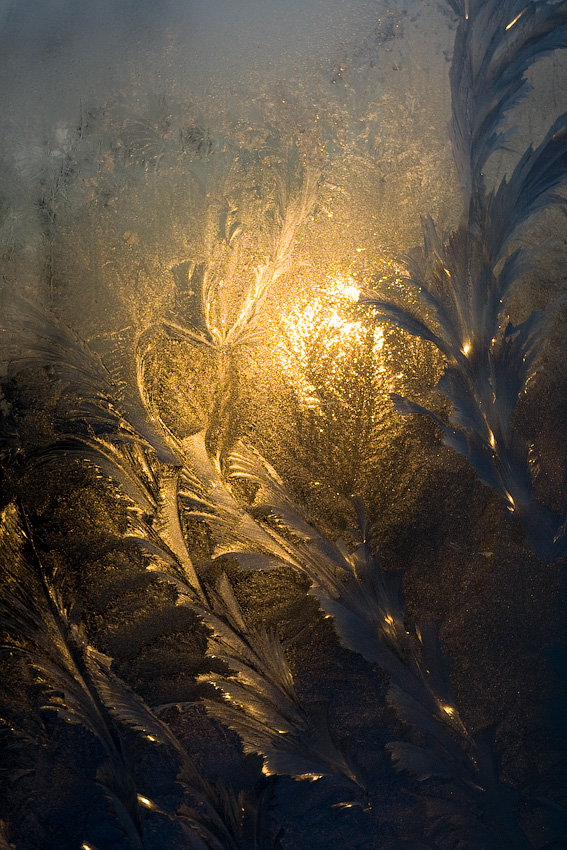 Фантазии мороза