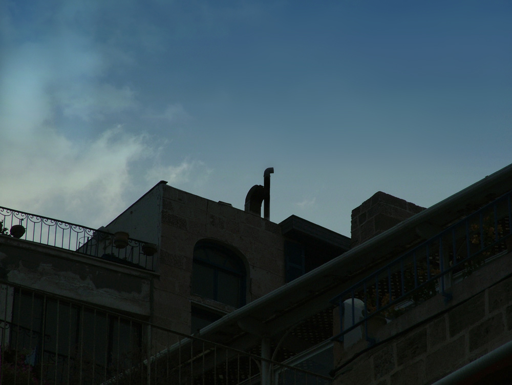 КОТ НА КРЫШЕ