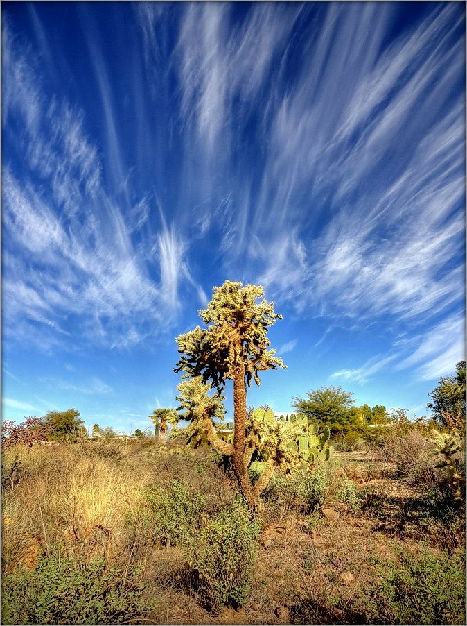 Тусон ..4. про небо