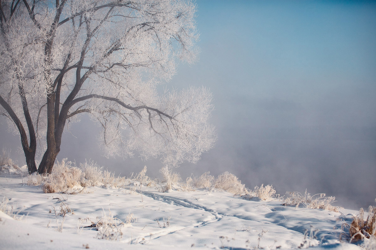 Зимнее утро