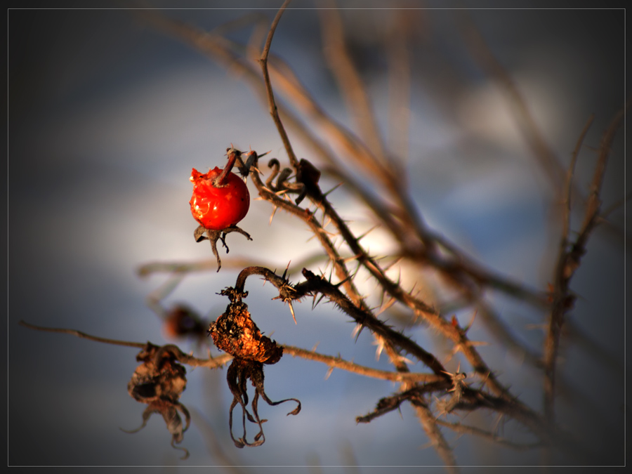 Февральские зарисовки