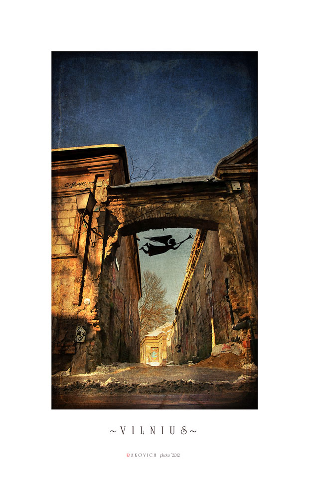 ~ V I L N I U S ~