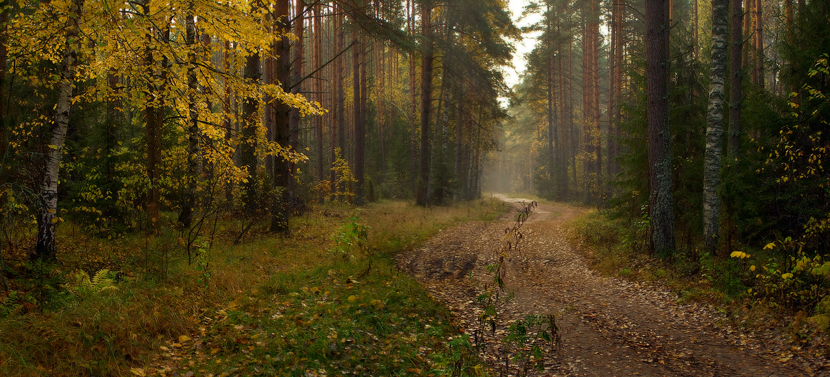 Осенней дорогой