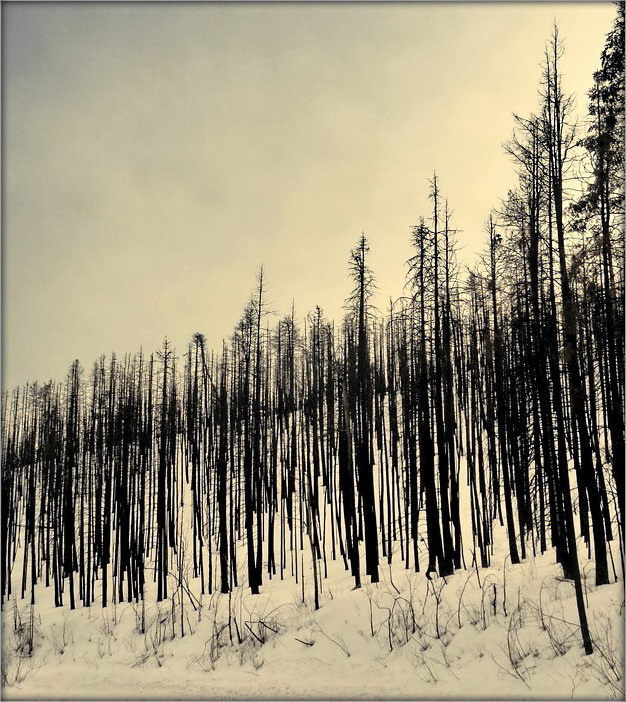 в горах Апачи ..2