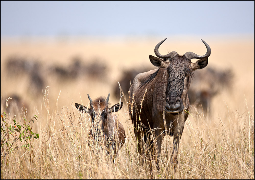 Наши взгляды пересеклись