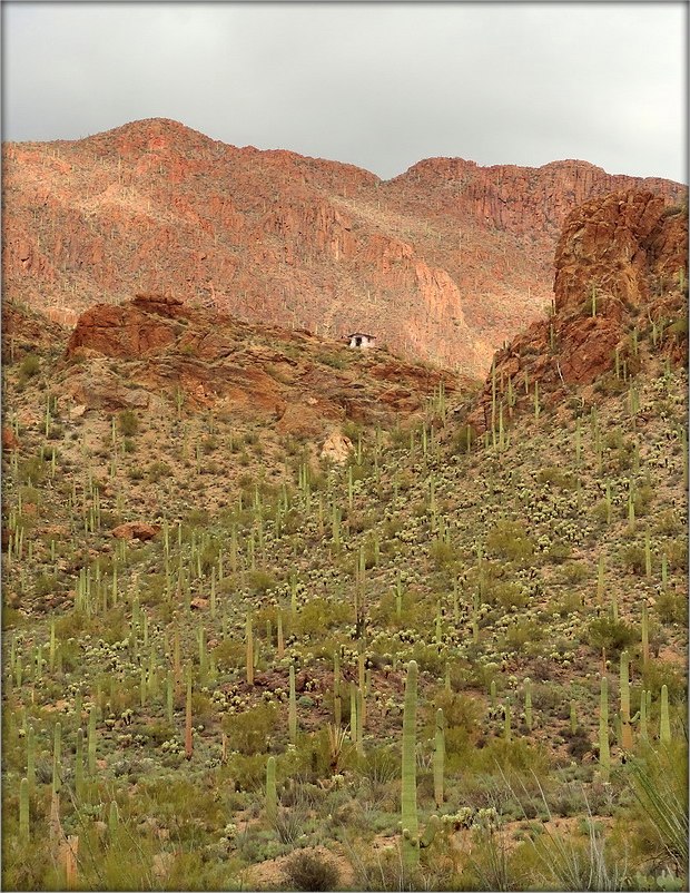 Тусон ..6. Горный парк