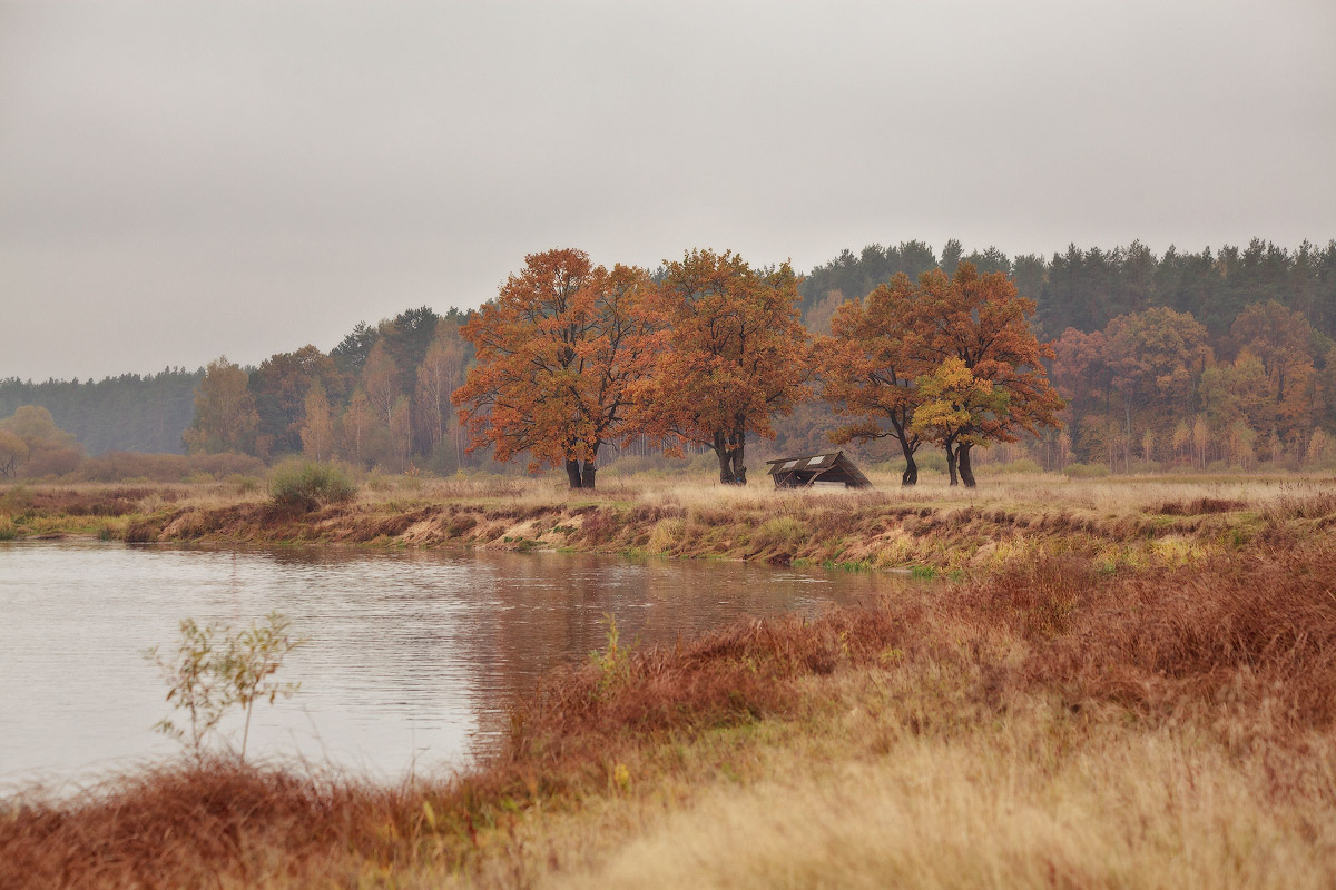 Осень на Березине