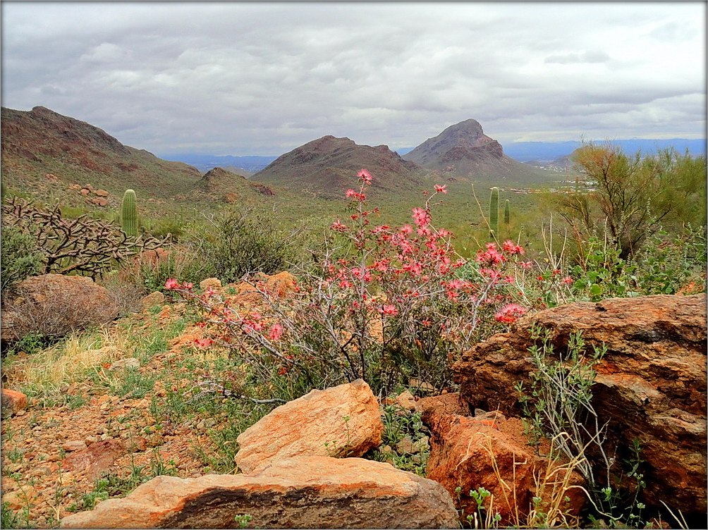 в Горном Парке