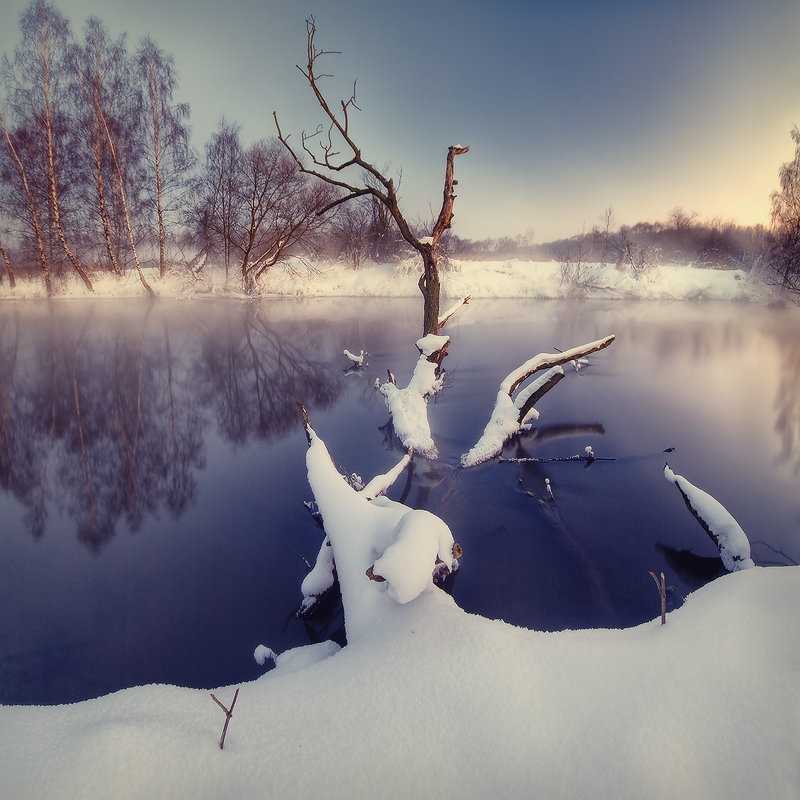 |   КАРАКАТИЦА   |