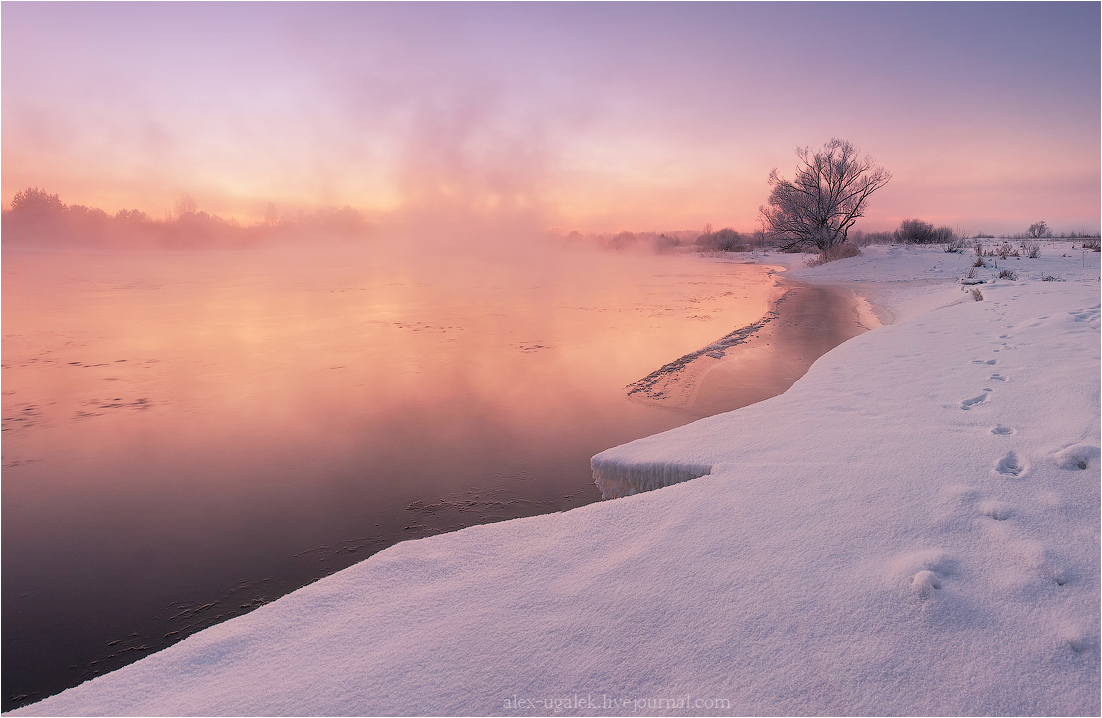 ..............В тиши рассвета II............