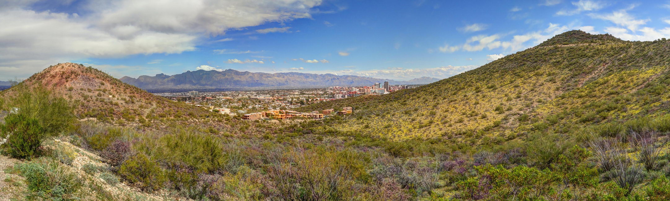 полдень города