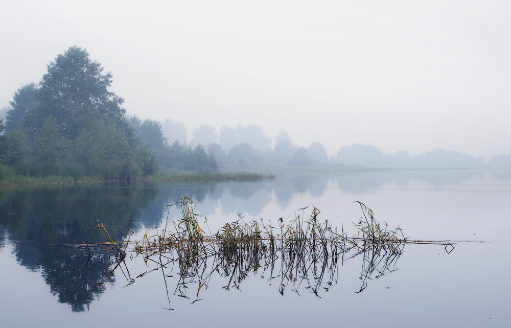 В туманной тишине