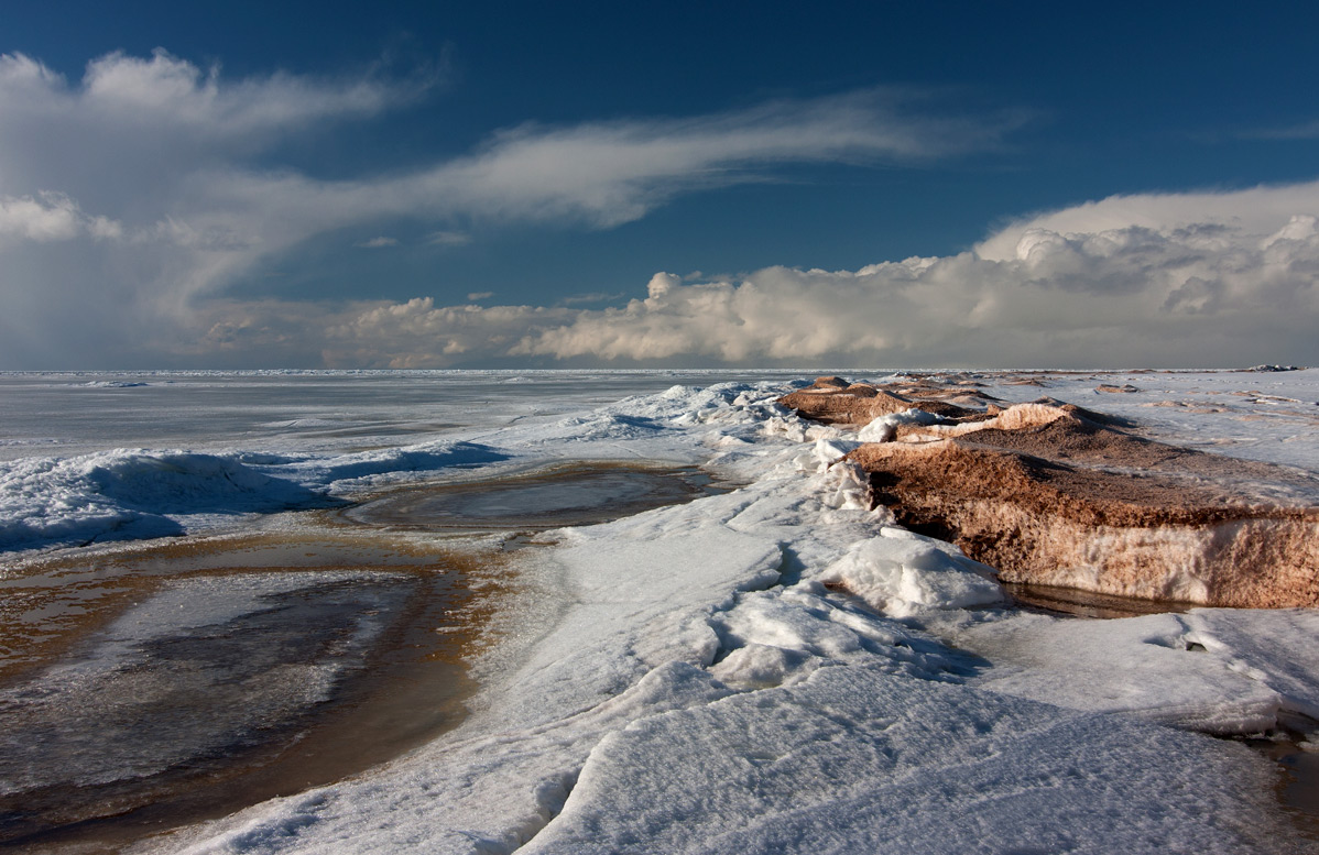 Первые проталины