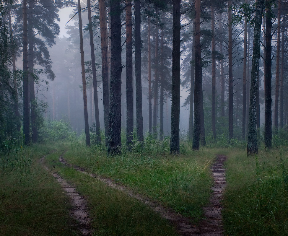 Направо или налево...