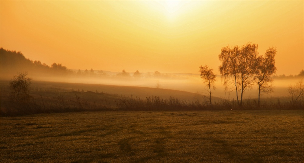 Утро в золотом цвете